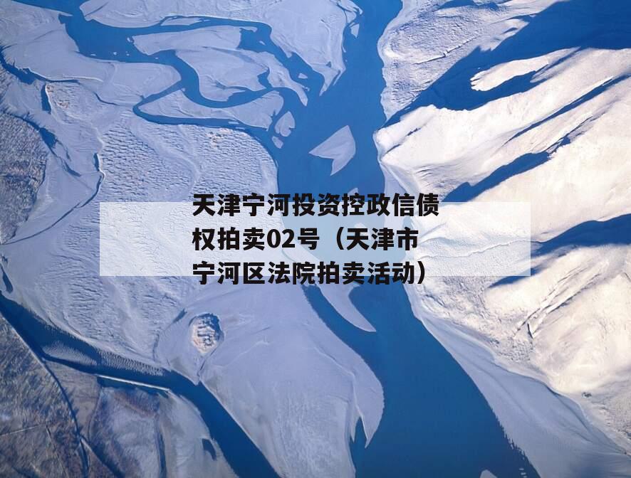 天津宁河投资控政信债权拍卖02号（天津市宁河区法院拍卖活动）