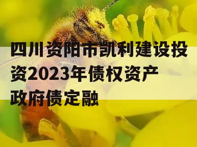 四川资阳市凯利建设投资2023年债权资产政府债定融