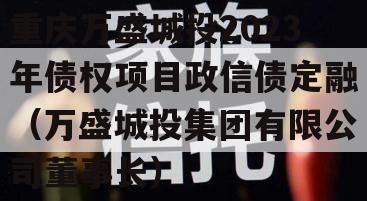 重庆万盛城投2023年债权项目政信债定融（万盛城投集团有限公司董事长）