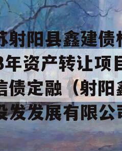 江苏射阳县鑫建债权2023年资产转让项目政信债定融（射阳鑫海建设发发展有限公司）