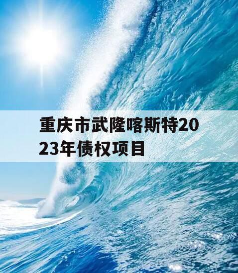 重庆市武隆喀斯特2023年债权项目