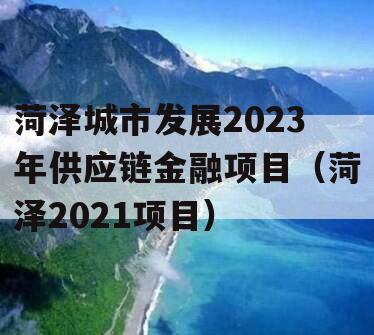 菏泽城市发展2023年供应链金融项目（菏泽2021项目）