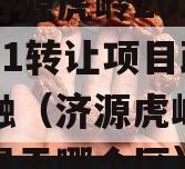 山东济源虎岭2023债权01转让项目政信债定融（济源虎岭工业园区属于哪个区）