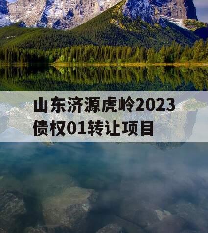 山东济源虎岭2023债权01转让项目