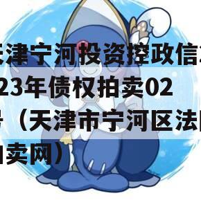 天津宁河投资控政信2023年债权拍卖02号（天津市宁河区法院拍卖网）