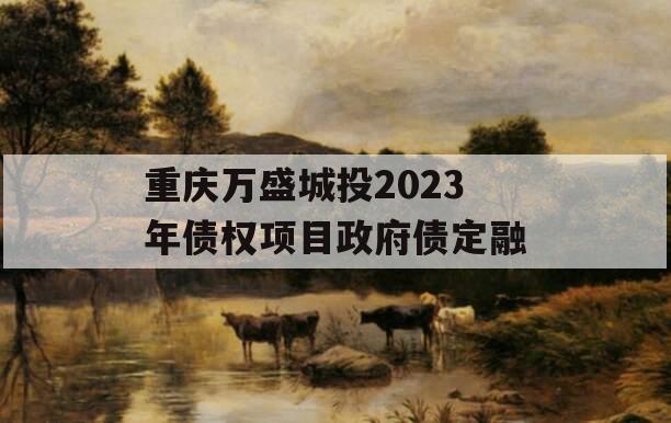 重庆万盛城投2023年债权项目政府债定融