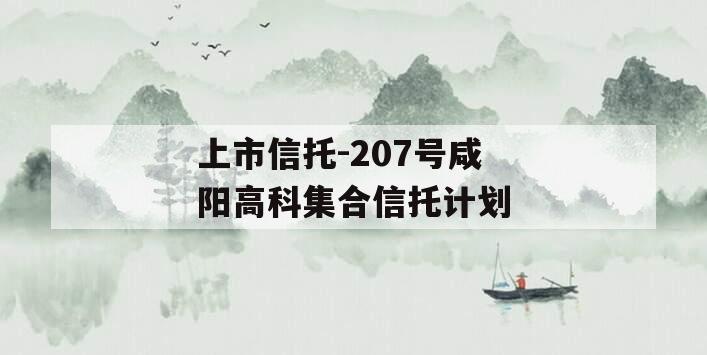 上市信托-207号咸阳高科集合信托计划