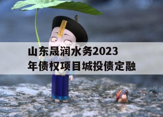 山东晟润水务2023年债权项目城投债定融