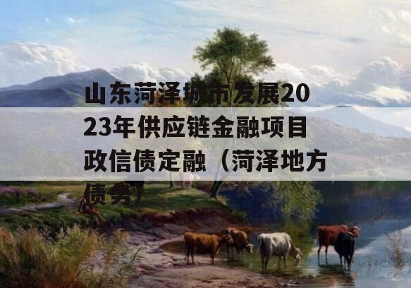 山东菏泽城市发展2023年供应链金融项目政信债定融（菏泽地方债务）