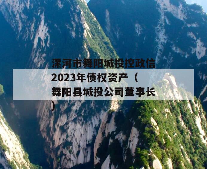 漯河市舞阳城投控政信2023年债权资产（舞阳县城投公司董事长）