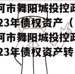 漯河市舞阳城投控政信2023年债权资产（漯河市舞阳城投控政信2023年债权资产转让）