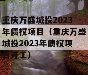 重庆万盛城投2023年债权项目（重庆万盛城投2023年债权项目开工）