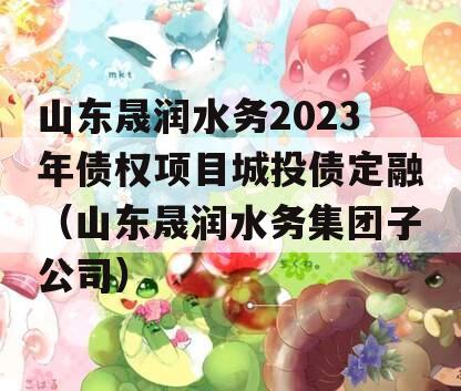 山东晟润水务2023年债权项目城投债定融（山东晟润水务集团子公司）