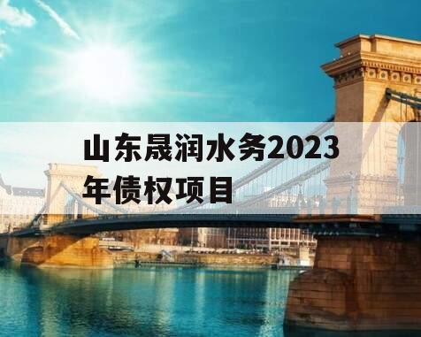 山东晟润水务2023年债权项目