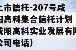 上市信托-207号咸阳高科集合信托计划（咸阳高科实业发展有限公司电话）