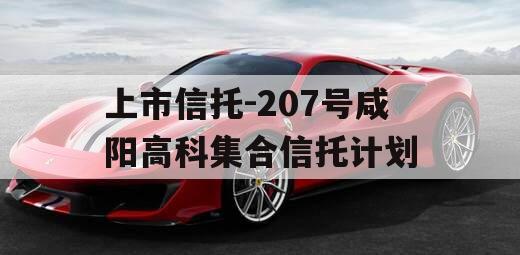 上市信托-207号咸阳高科集合信托计划