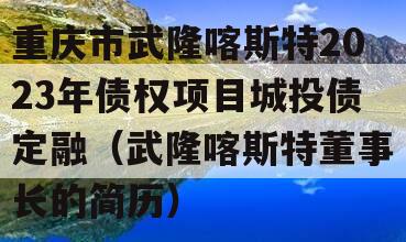 重庆市武隆喀斯特2023年债权项目城投债定融（武隆喀斯特董事长的简历）