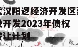 武汉阳逻经济开发区建设开发2023年债权转让计划