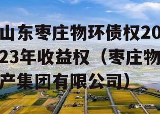 山东枣庄物环债权2023年收益权（枣庄物产集团有限公司）