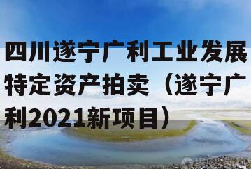 四川遂宁广利工业发展特定资产拍卖（遂宁广利2021新项目）