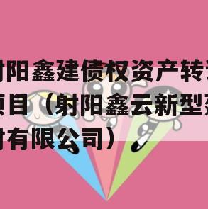 射阳鑫建债权资产转让项目（射阳鑫云新型建材有限公司）