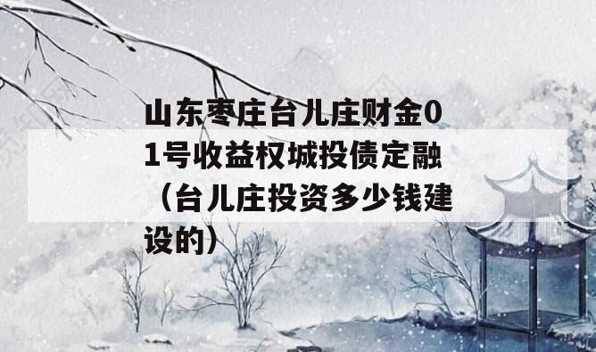 山东枣庄台儿庄财金01号收益权城投债定融（台儿庄投资多少钱建设的）