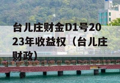 台儿庄财金D1号2023年收益权（台儿庄财政）