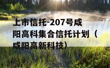 上市信托-207号咸阳高科集合信托计划（咸阳高新科技）