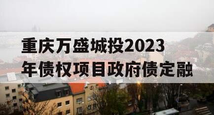 重庆万盛城投2023年债权项目政府债定融