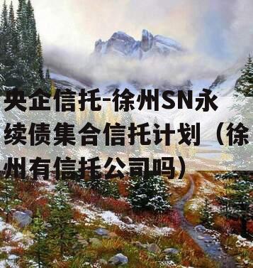 央企信托-徐州SN永续债集合信托计划（徐州有信托公司吗）