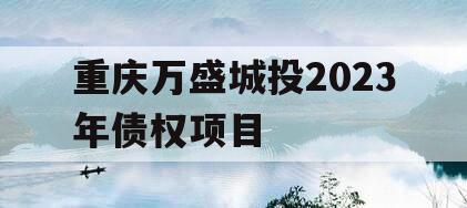 重庆万盛城投2023年债权项目