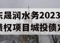 山东晟润水务2023年债权项目城投债定融