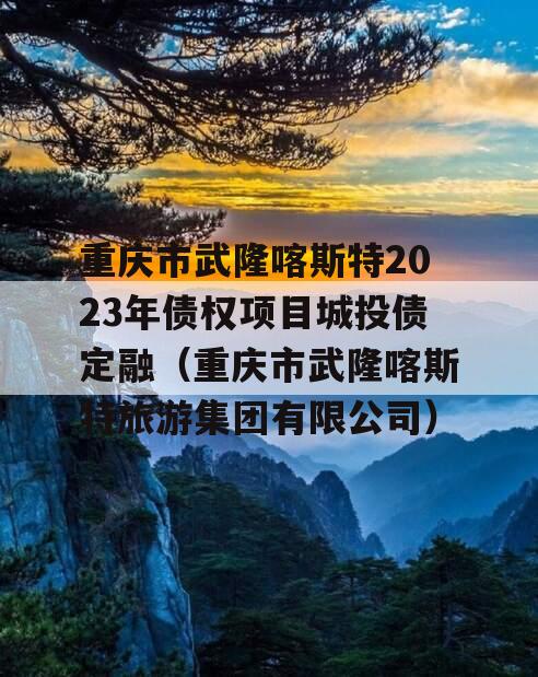 重庆市武隆喀斯特2023年债权项目城投债定融（重庆市武隆喀斯特旅游集团有限公司）