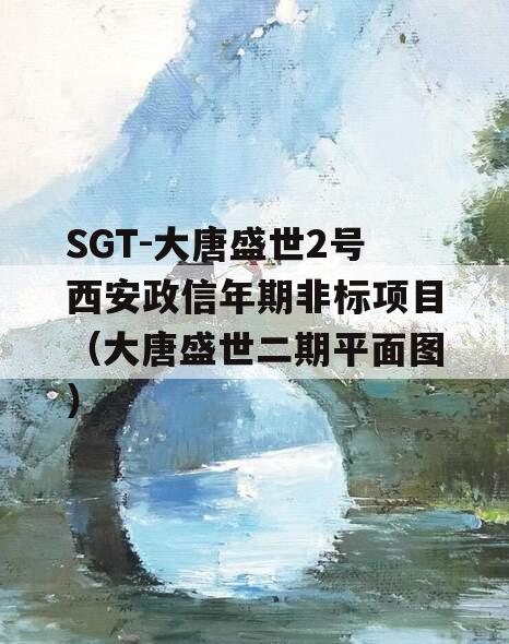 SGT-大唐盛世2号西安政信年期非标项目（大唐盛世二期平面图）