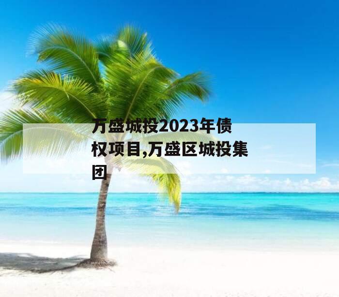 万盛城投2023年债权项目,万盛区城投集团