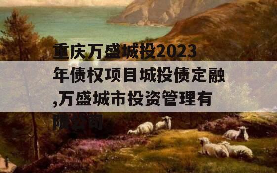 重庆万盛城投2023年债权项目城投债定融,万盛城市投资管理有限公司