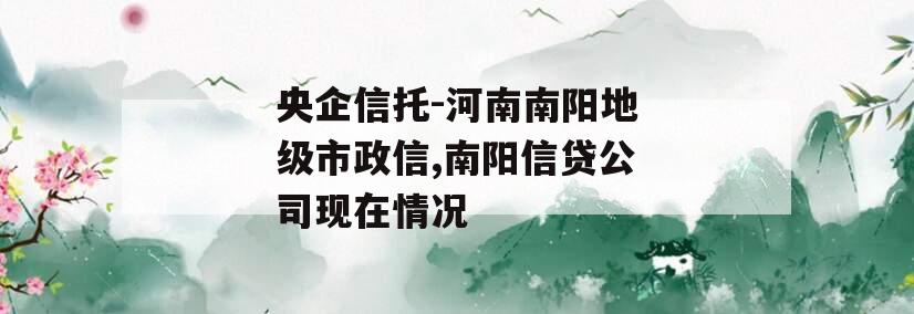 央企信托-河南南阳地级市政信,南阳信贷公司现在情况