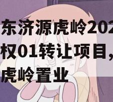 山东济源虎岭2023债权01转让项目,济源虎岭置业