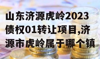 山东济源虎岭2023债权01转让项目,济源市虎岭属于哪个镇