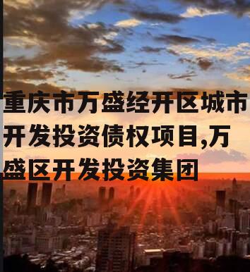 重庆市万盛经开区城市开发投资债权项目,万盛区开发投资集团