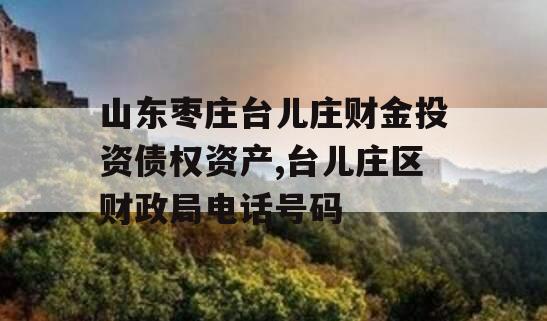 山东枣庄台儿庄财金投资债权资产,台儿庄区财政局电话号码