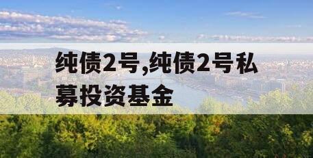 纯债2号,纯债2号私募投资基金