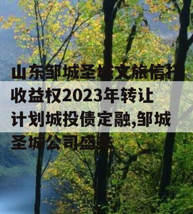 山东邹城圣城文旅信托收益权2023年转让计划城投债定融,邹城圣城公司盛来