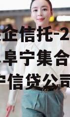 中国央企信托-207号江苏阜宁集合信托计划,阜宁信贷公司