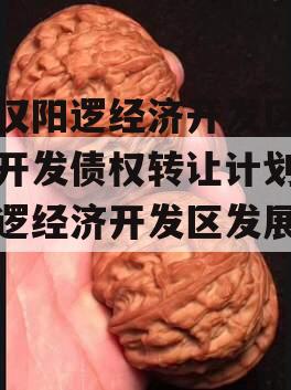 武汉阳逻经济开发区建设开发债权转让计划,阳逻经济开发区发展前景