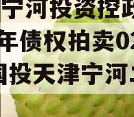 天津宁河投资控政信2023年债权拍卖02号,国投天津宁河二期pc