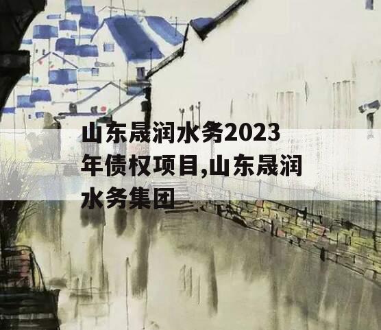 山东晟润水务2023年债权项目,山东晟润水务集团