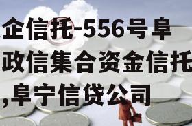 央企信托-556号阜宁政信集合资金信托计划,阜宁信贷公司