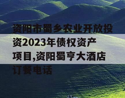 资阳市蜀乡农业开放投资2023年债权资产项目,资阳蜀亨大酒店订餐电话