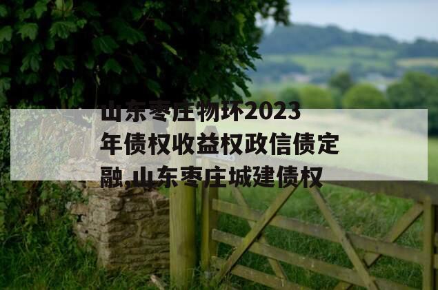 山东枣庄物环2023年债权收益权政信债定融,山东枣庄城建债权